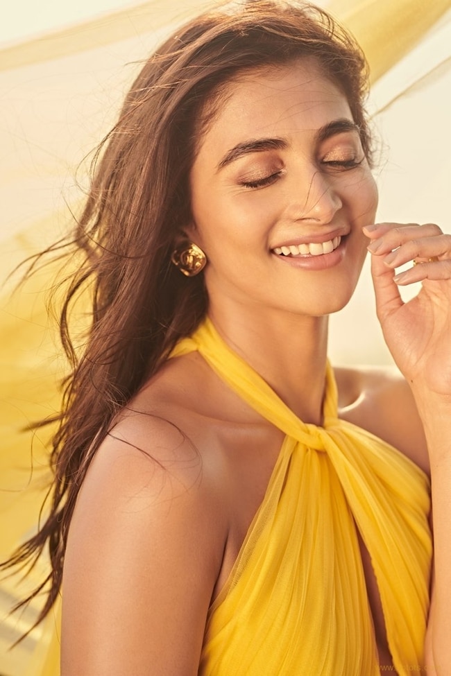 Vivacious Clicks Of Pooja Hegde In Yellow 17 1