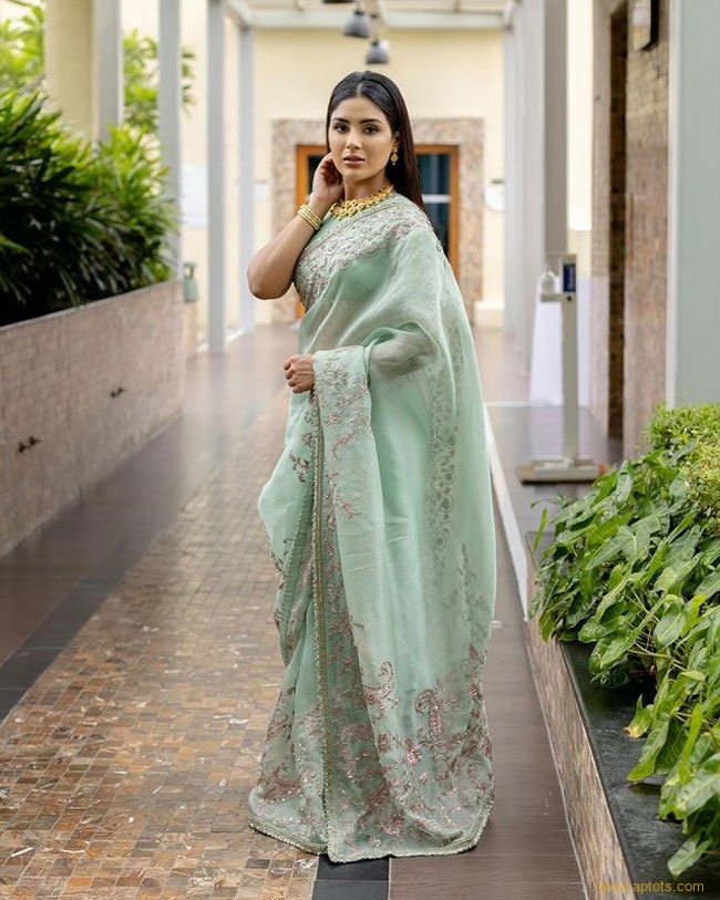 Stunning Looks Of Samyuktha Menon 6