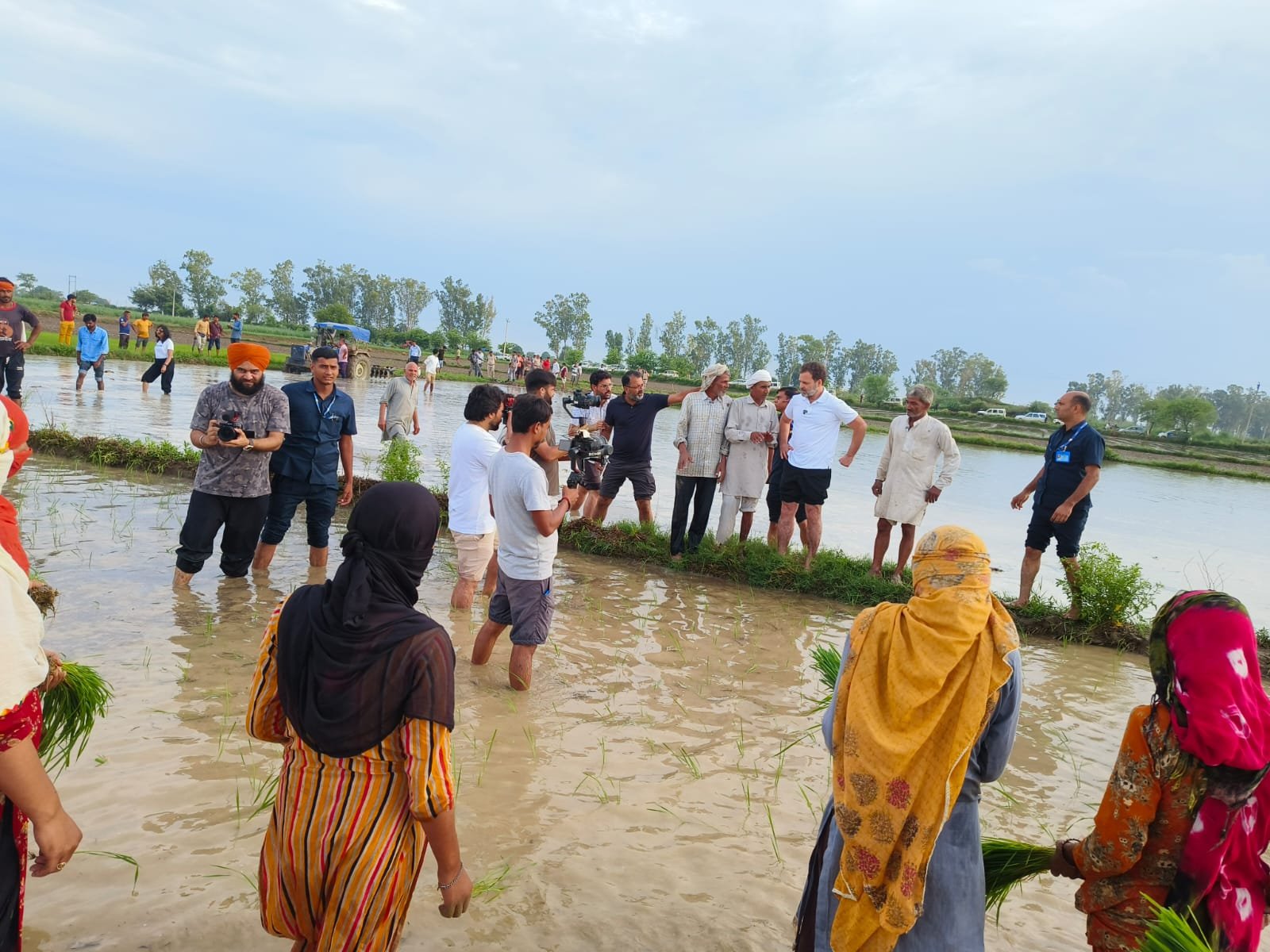 rahul gandho works in rice field as a farmer 1