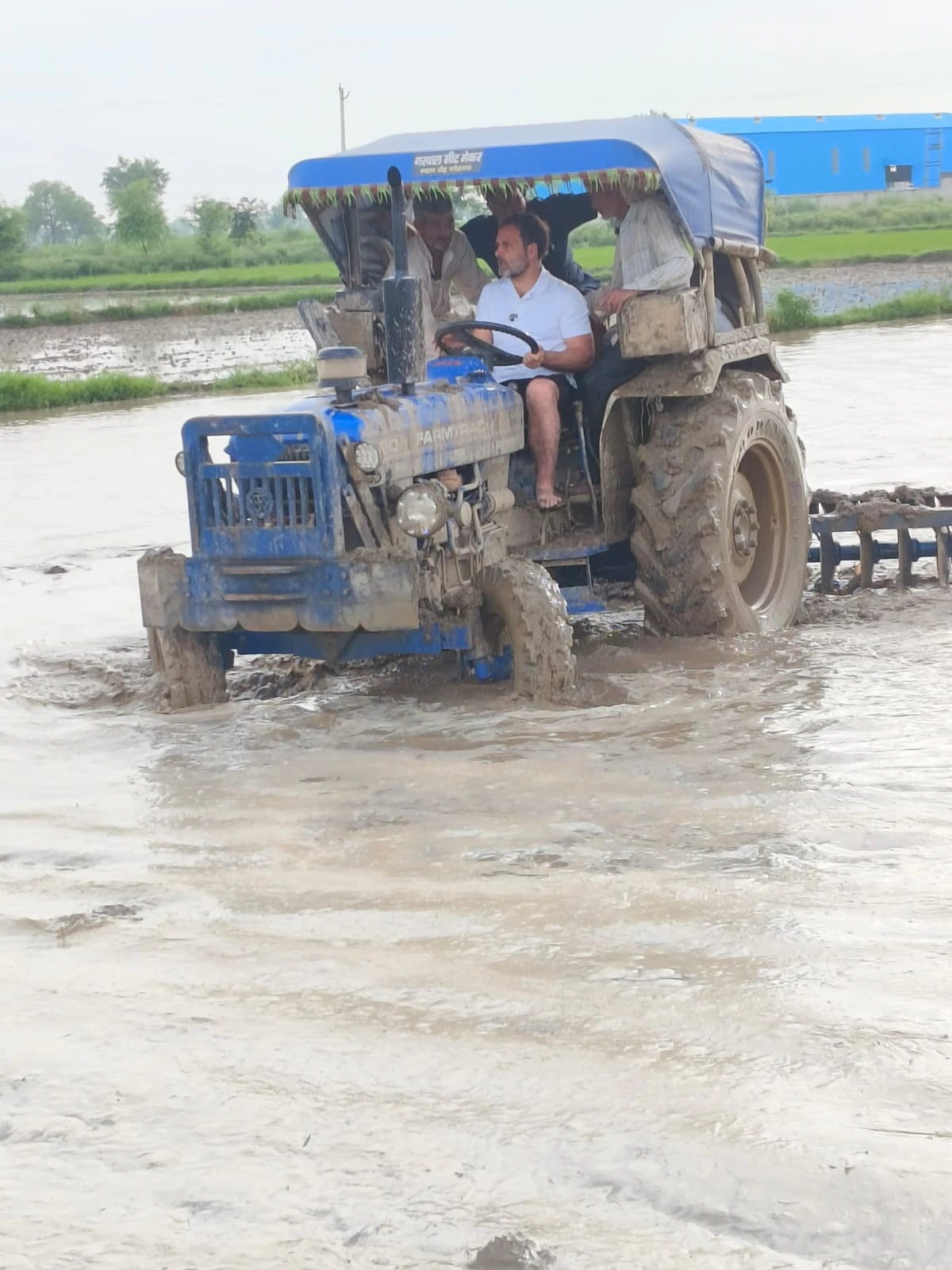 rahul gandho works in rice field as a farmer 3